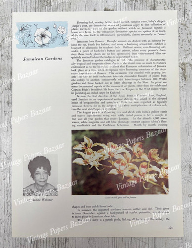 Jamaican gardens flowers - jamaican,