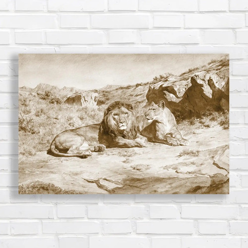 Resting lions desert - lions,
