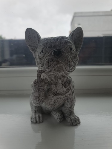 French bulldog plant pot - french,