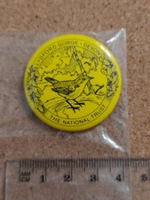 National Trust LYDFORD GORGE Yellow Charity Tin Badge