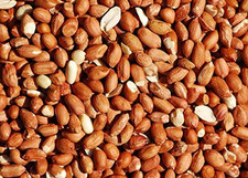 Bird Whole Peanuts - Quality