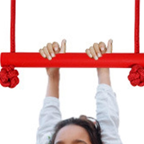 Kids monkey bar playground - monkey,