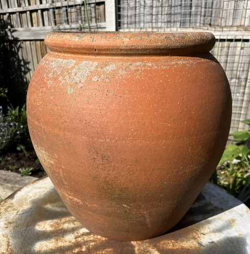 Vintage terracotta olive - vintage,