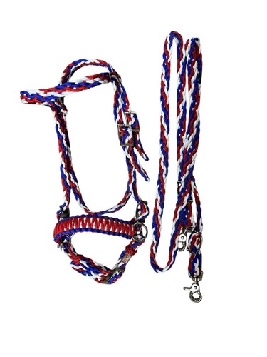 Pony bitless bridle with - pony, side