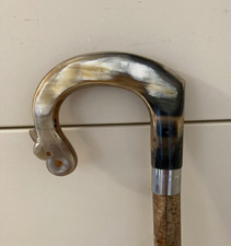 OX Buffalo Horn ply crook handle Walking Stick on a hazel shank