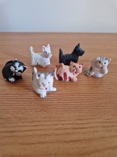 Peter fagan mini dog and - fagan, cat