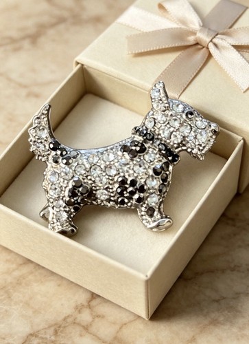 Terrier type dog - dog, scottie