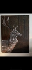 Deer Portrait, Fine Art Original Stag Painting, Wildlife Wall Art, 20x20cm