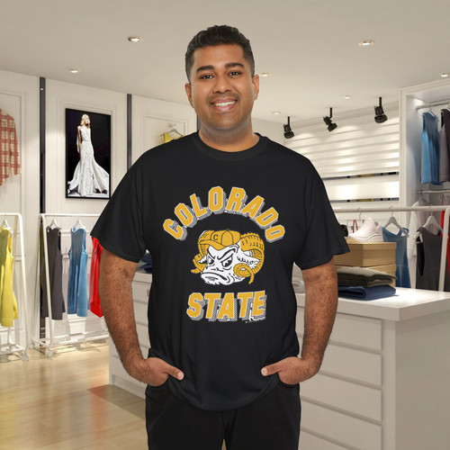 90s colorado state - state, university