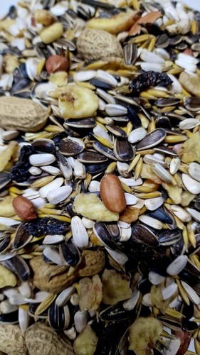 Parrot food seed african - food,