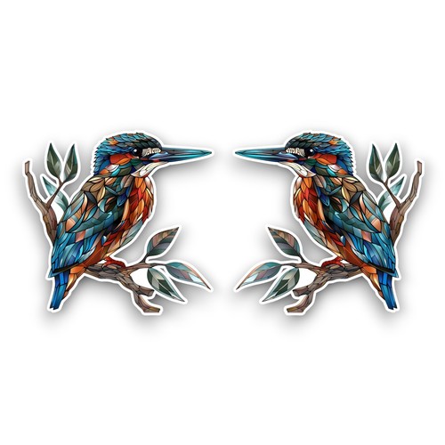 Small kingfisher bird - kingfisher,
