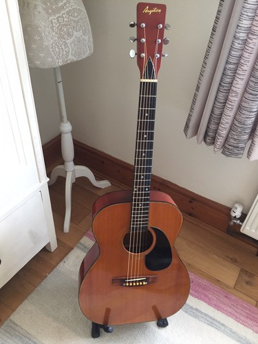 Angelica 3590 vintage - , acoustic