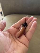 Araucaria Araucana Monkey Puzzle Tree Seeds Pack Of 10