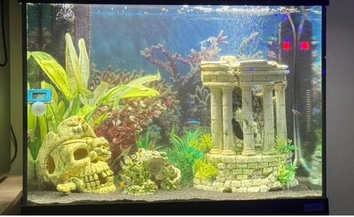 Fluval roma 90l aquarium - roma,