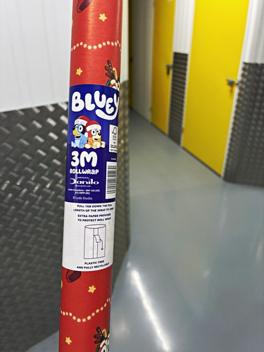 Danilo bluey christmas - bluey,