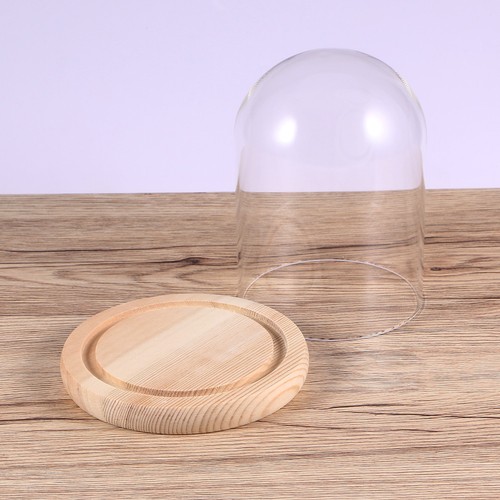 Glass dome cover - glass, wooden