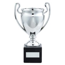 PRESENTATION CUP SPORTS TROPHY