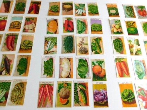100 vintage french - 100,
