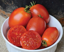 15 Napoli Tomato Seeds -