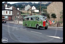 Original Coach Slide - Lee's