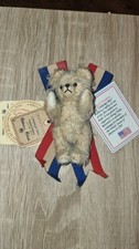 Robin rive campaign bear - campaign,