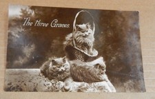 Postcard Animals Persian Kittens "the Three Graces" RPPC posted1934 xc4