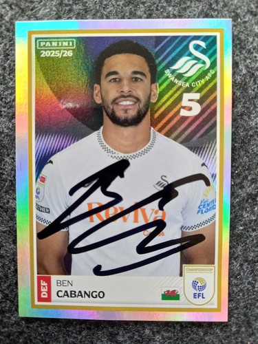 Panini efl sticker number 405 - panini,