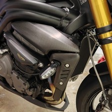 Flanks On Triumph Speed Triple