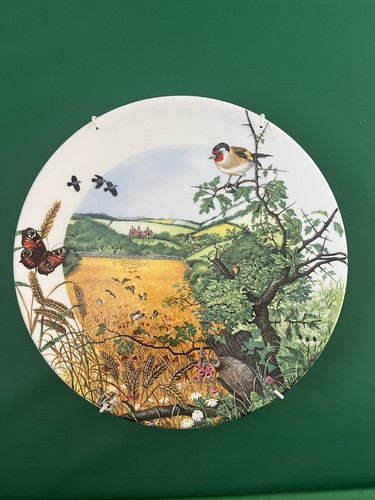 Wedgwood the village - wedgwood,