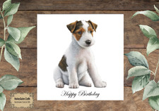 DOG 051  Birthday Card  Fox