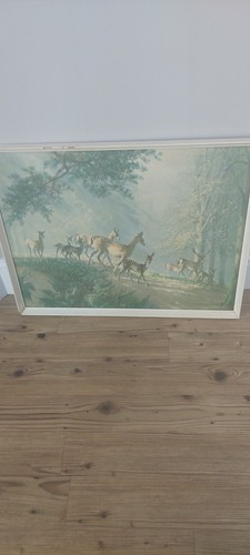 Vintage print vernan - vintage, ward