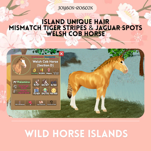 Wild horse islands iuh - 🐎,