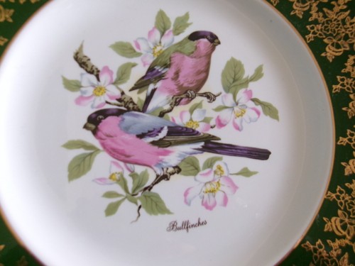 Decorative plate weatherby - decorative, by