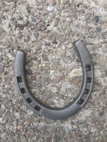 Wrought iron horseshoe - wrought,