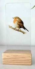 Stained glass Robin Suncatcher bird kiln fired with wood base display birds home