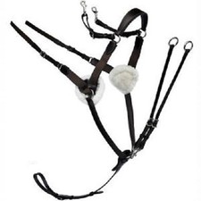 NEW 5 POINT BREASTPLATE