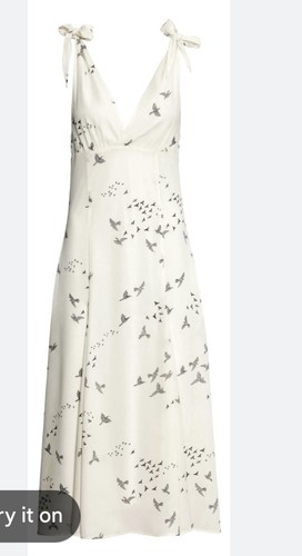 Cream and grey - cream, bird