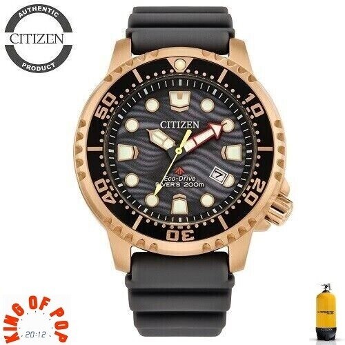 Citizen bn0163 00h promaster - citizen,