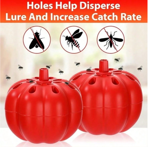 2pcs fruit fly - 2pcs,