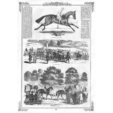HORSE RACING Scenes From the