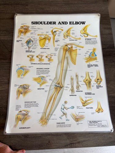 Vintage 1988 anatomical - vintage,