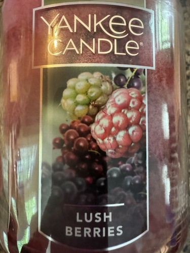 Rare lush berries yankee - berries,