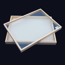 Solid Wood Insect Bug Specimen