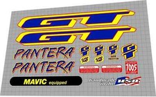 1996 pantera chrome frame - gt,
