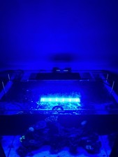 AI Blade Coral Grow 12-inch LED Reef Light + Stand