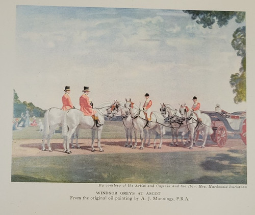 1945 windsor greys - 1945, at