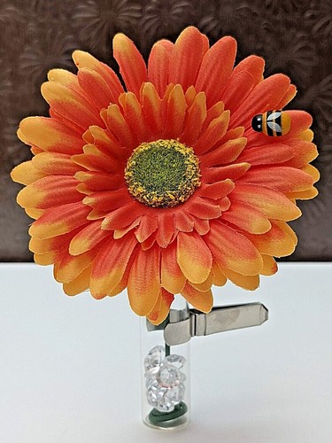 Orange gerbera daisy - orange,