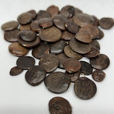 Japanese Wisteria Bonsai Tree Seed Pack Wisteria Floribunda