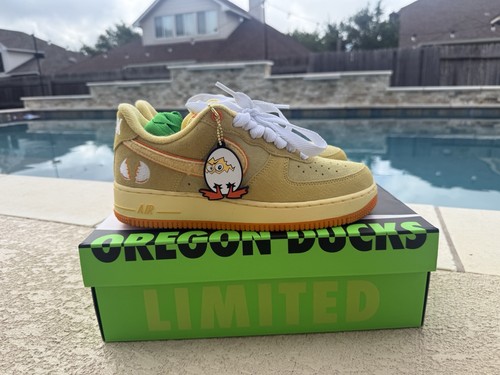 Oregon duck air - air, 1