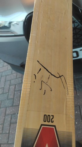 Slazenger beige cricket bat - beige,